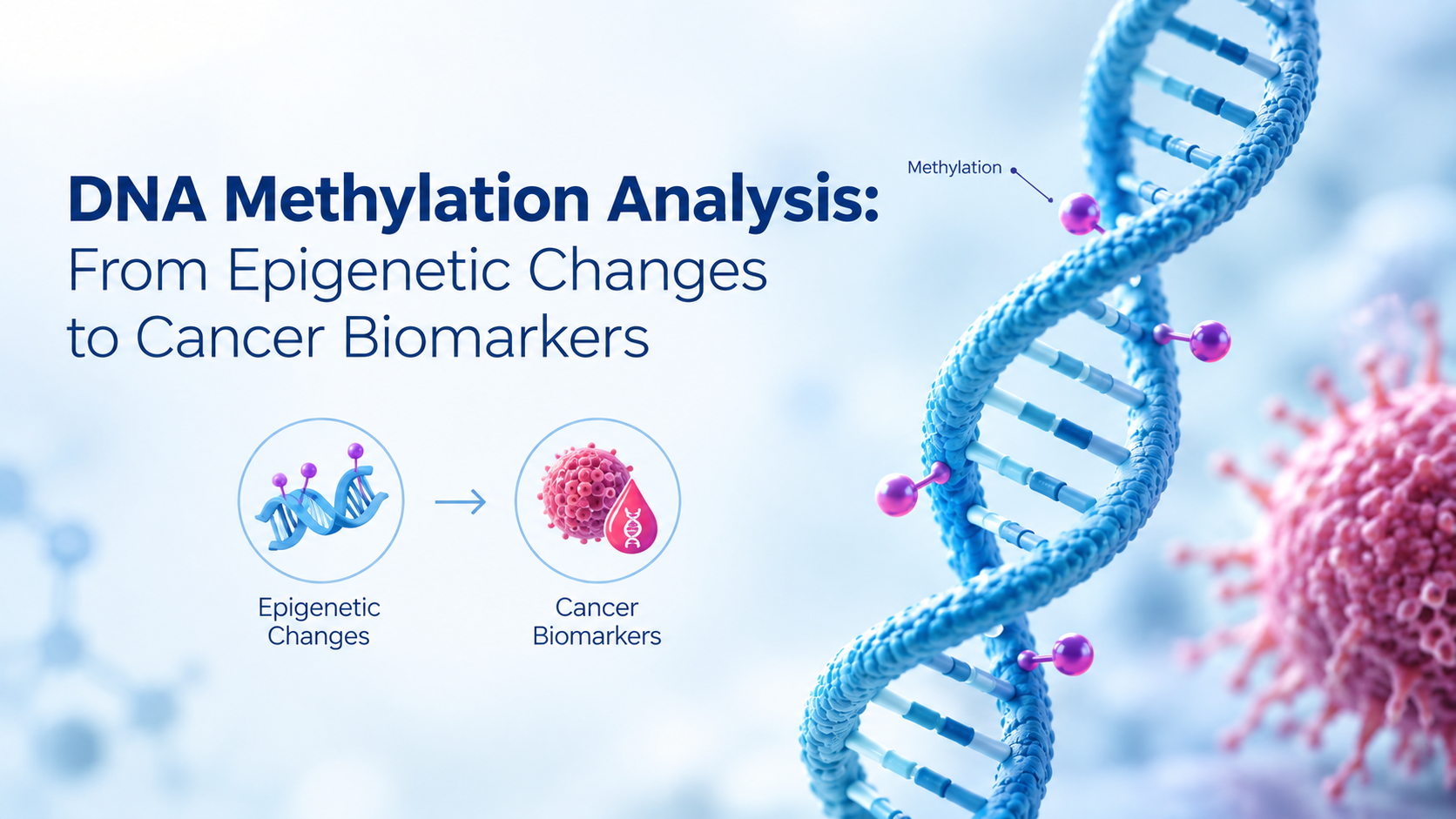 DNA Methylation Analysis